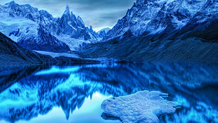 AmorErotico en la Naturaleza 12